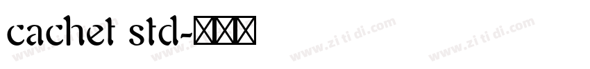 cachet std字体转换